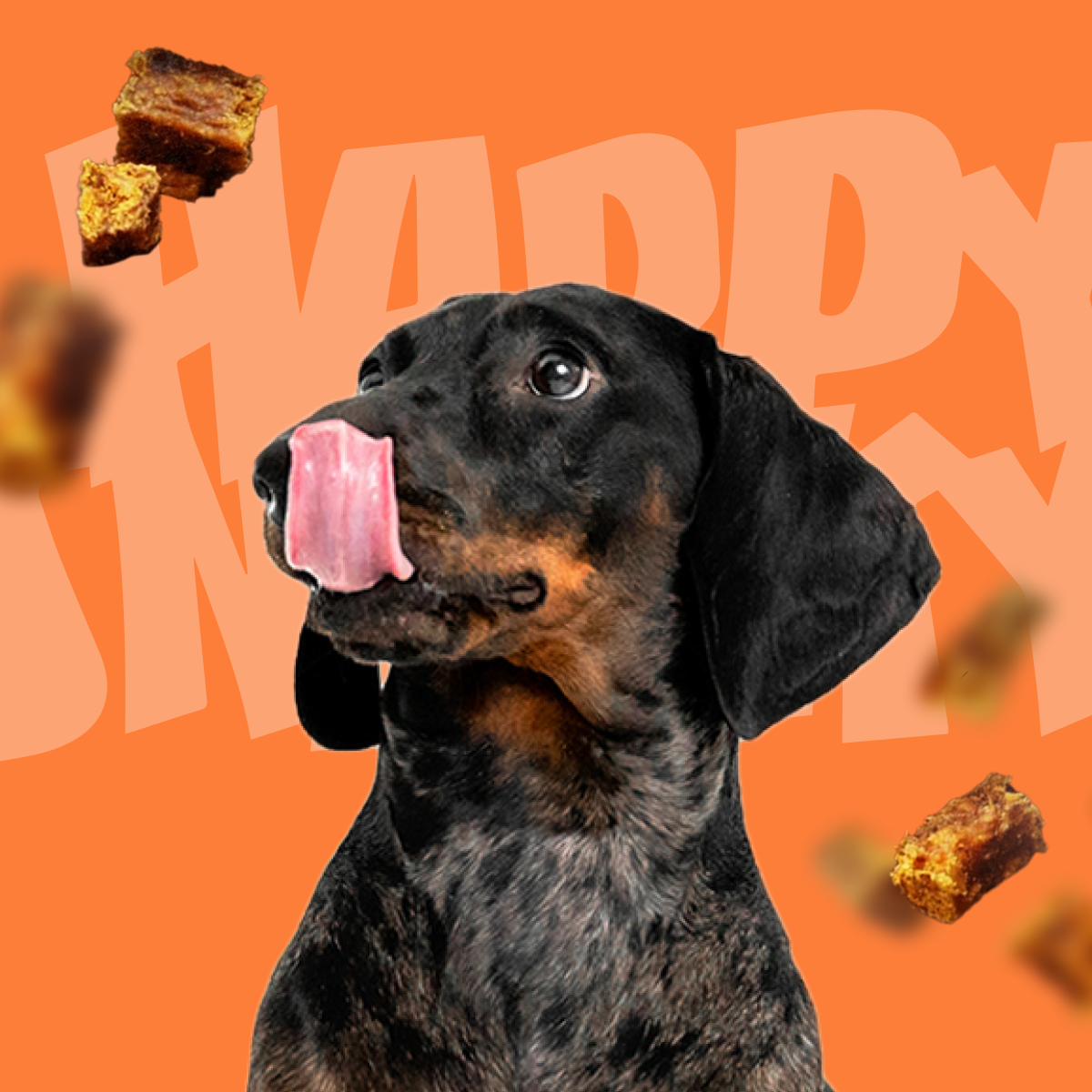 HappySnacky