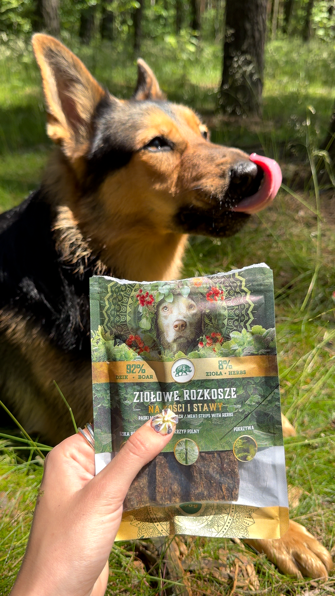 Paski z Dzika na kości i stawy 70g