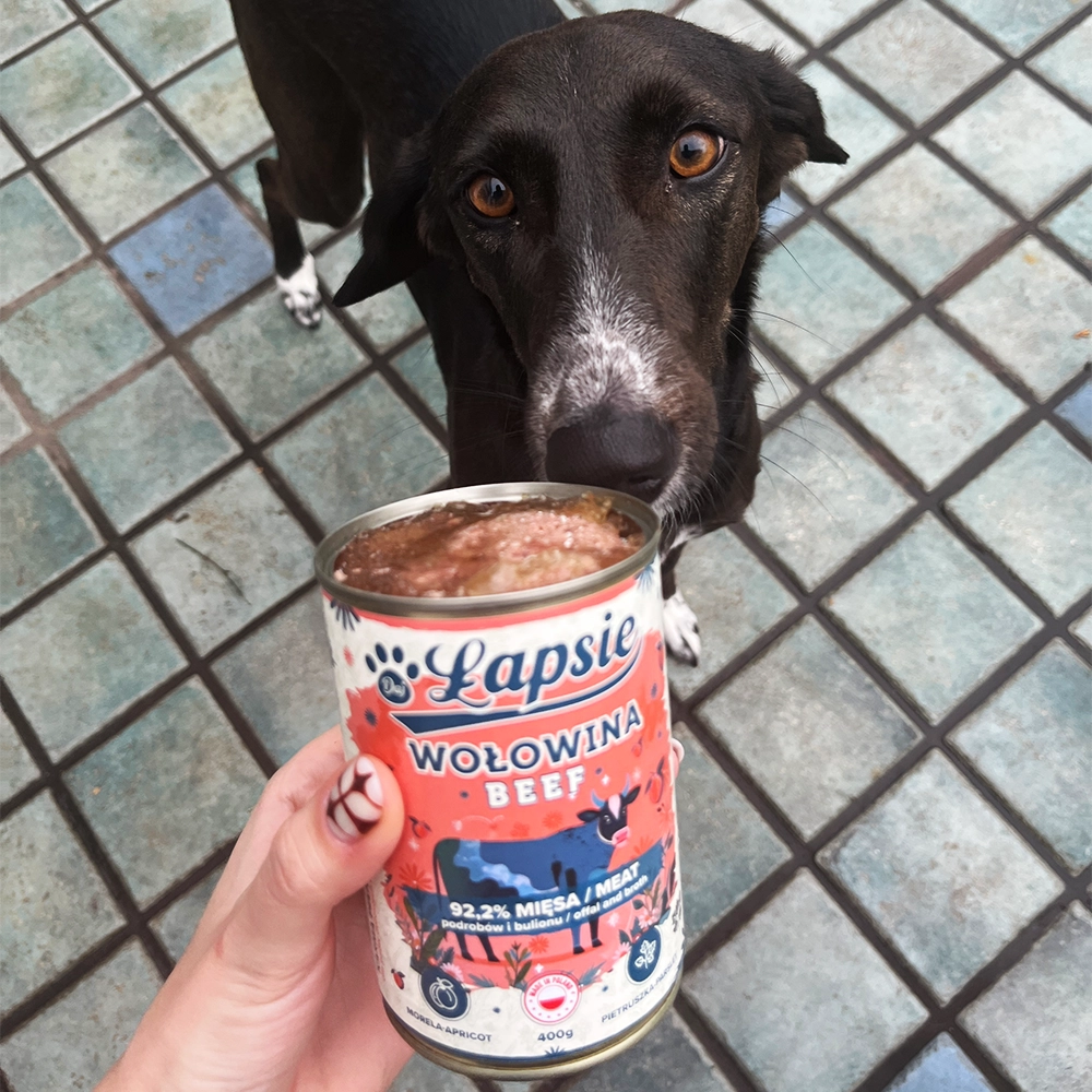 Mokra Karma Wołowina z Morelą 400g