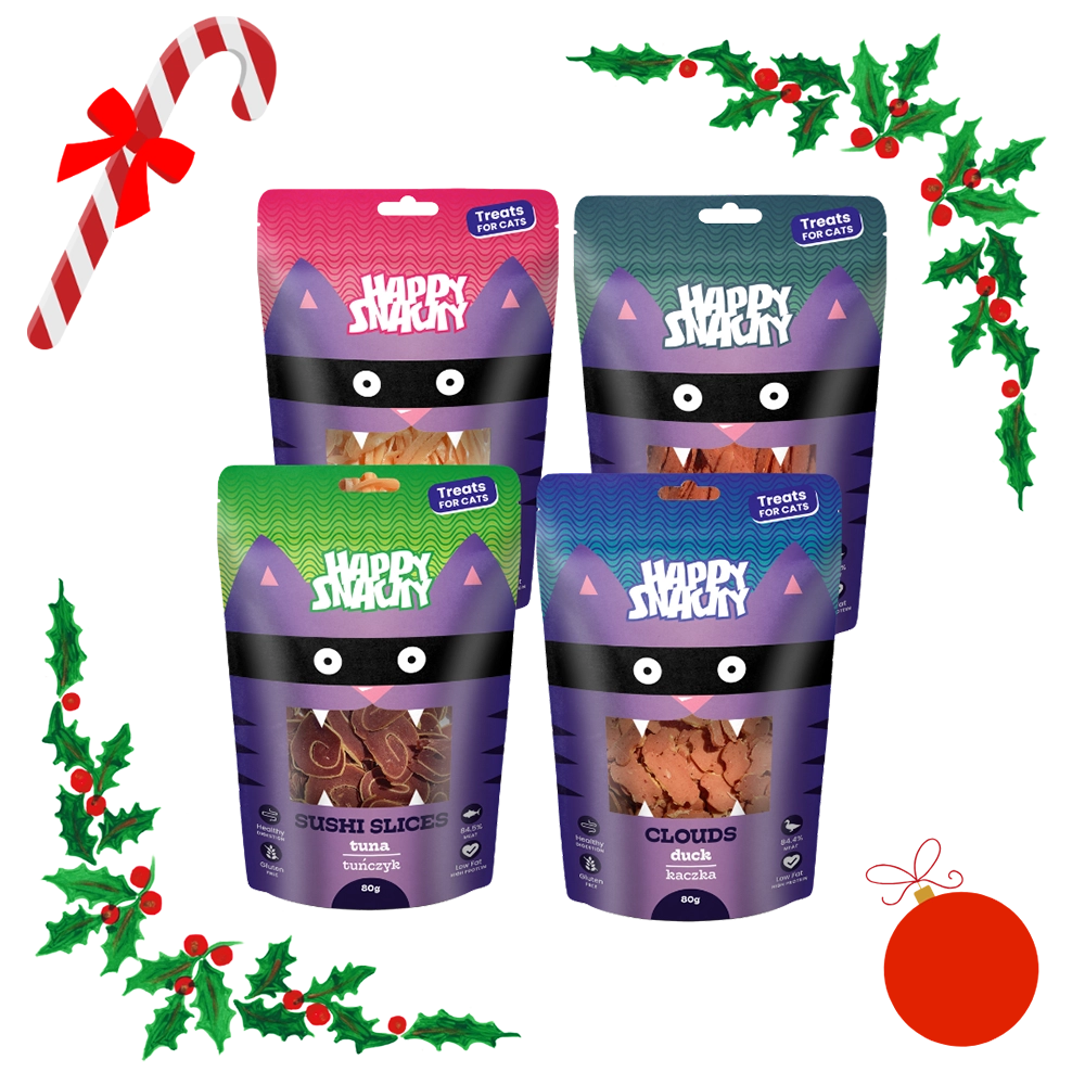 Świąteczna Paczka Przysmaków dla kota Happy Snacky
