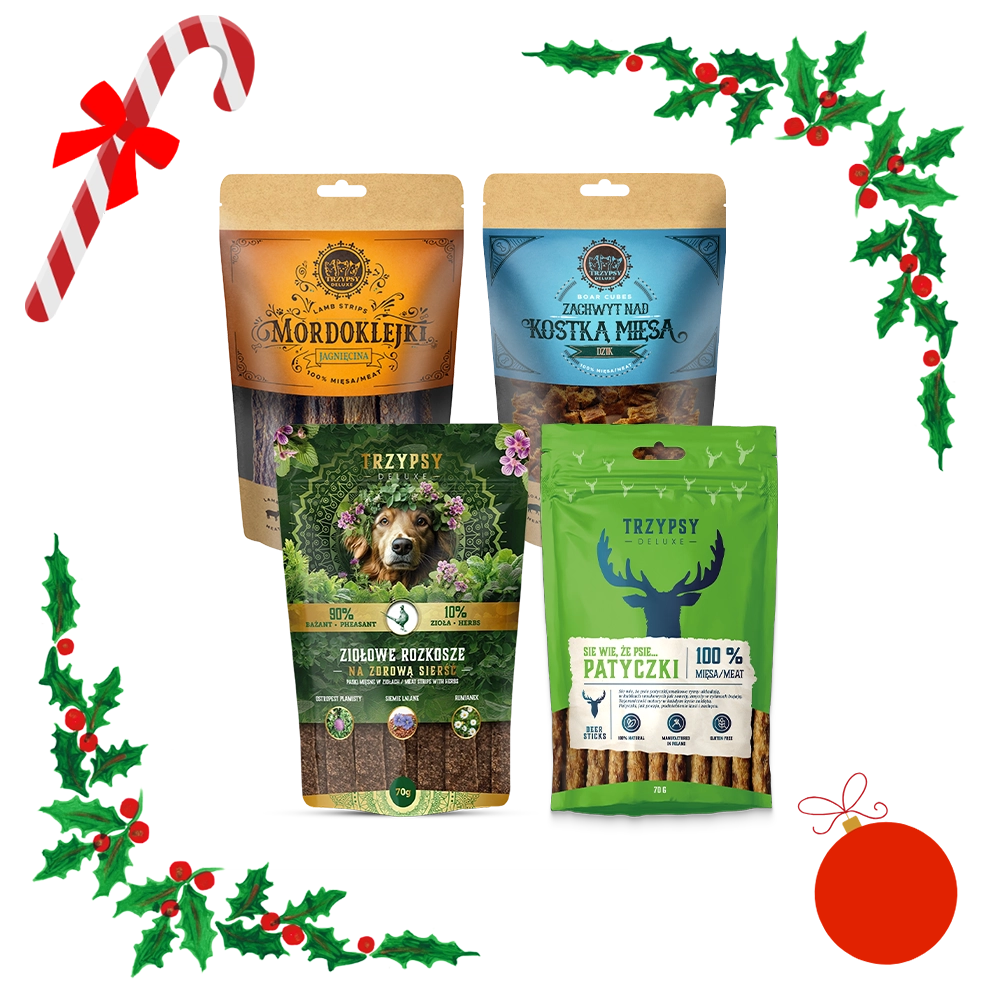 Świąteczna Paczka Przysmaków dla psa Trzypsy