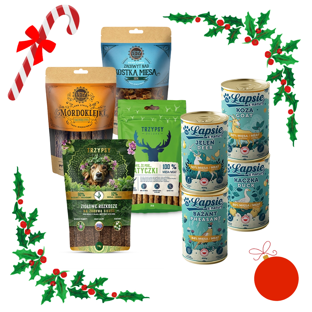 Świąteczna Paczka dla psa Trzypsy i Łapsie