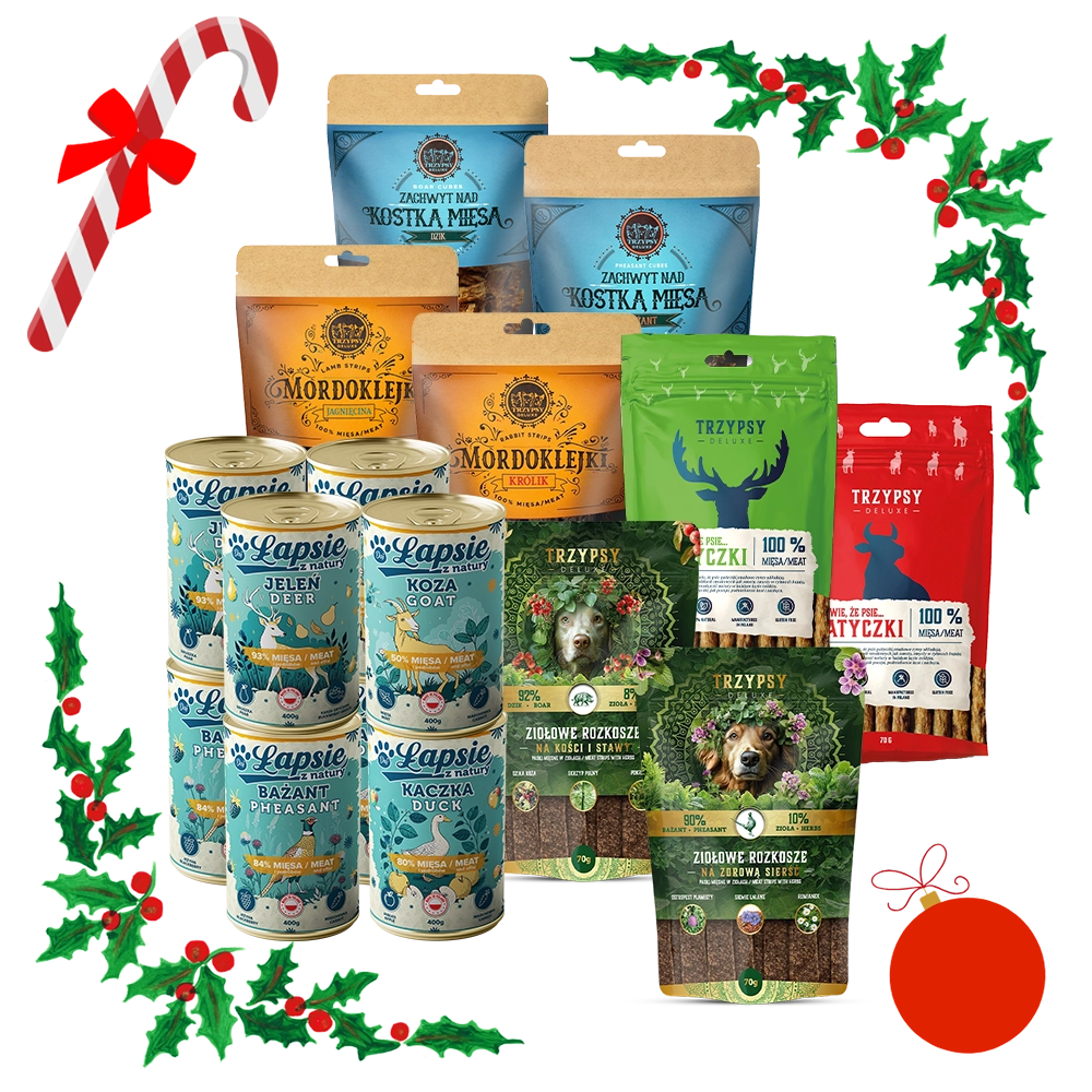 Świąteczna Paczka dla psa Trzypsy i Łapsie XL