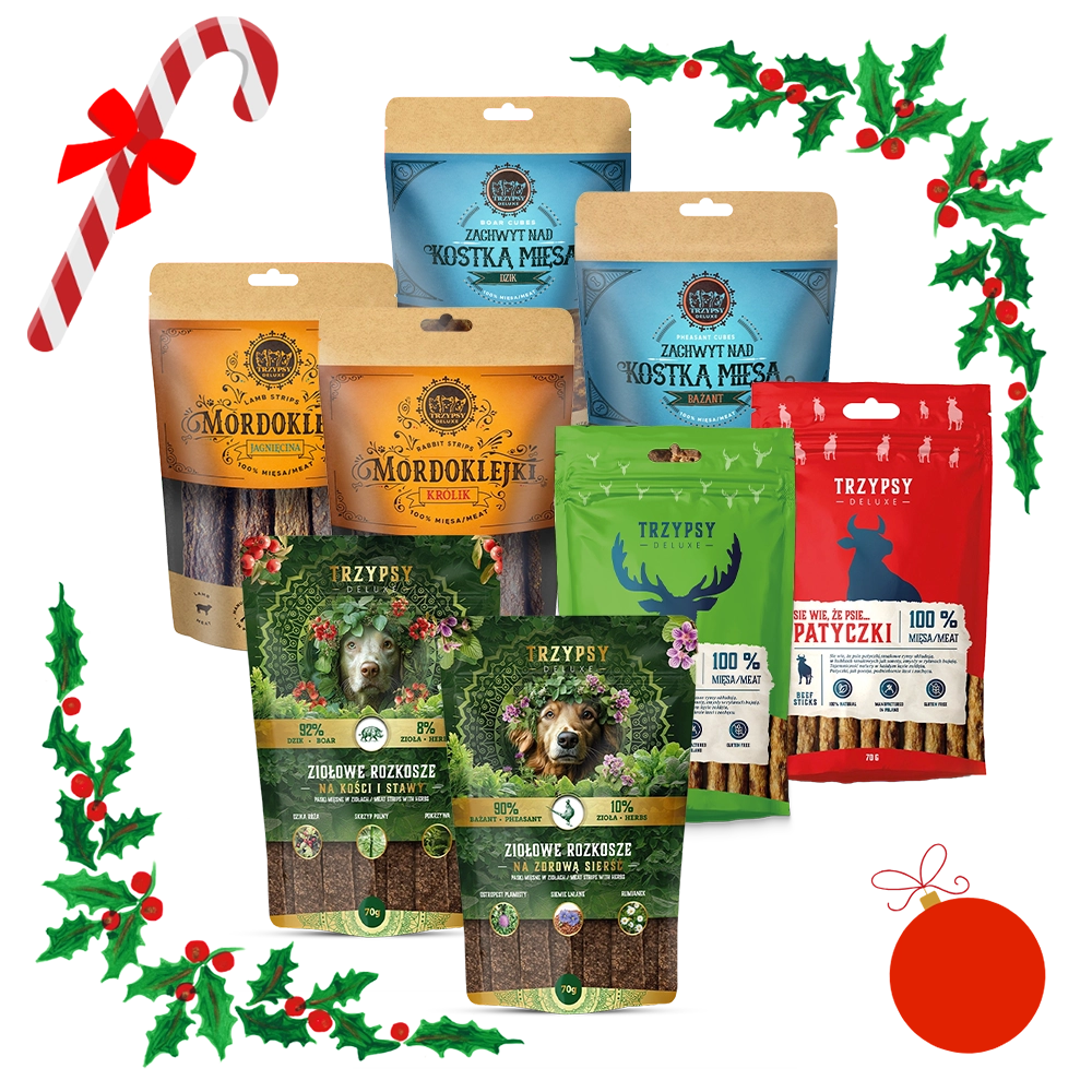 Świąteczna Paczka Przysmaków dla psa Trzypsy XL