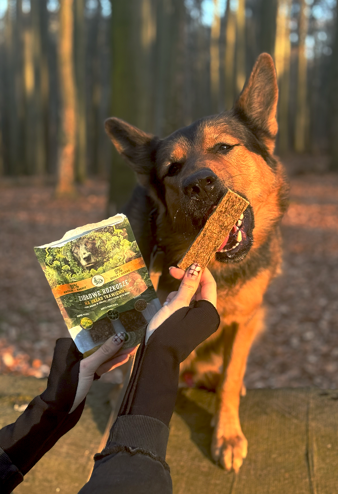 Paski z Królika na układ trawienny 70g